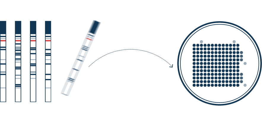 Method & principle