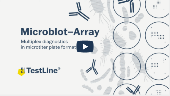Microblot-Array. Multiplex diagnostics in microtiter plate format.