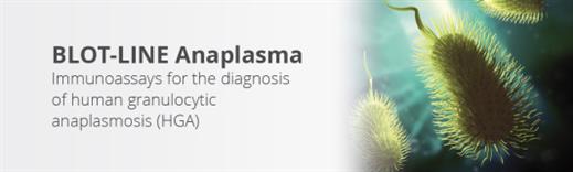 New Anaplasma kits